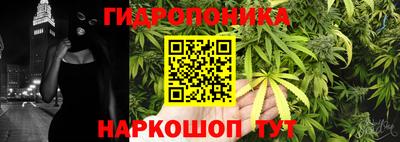 2c-b Аша