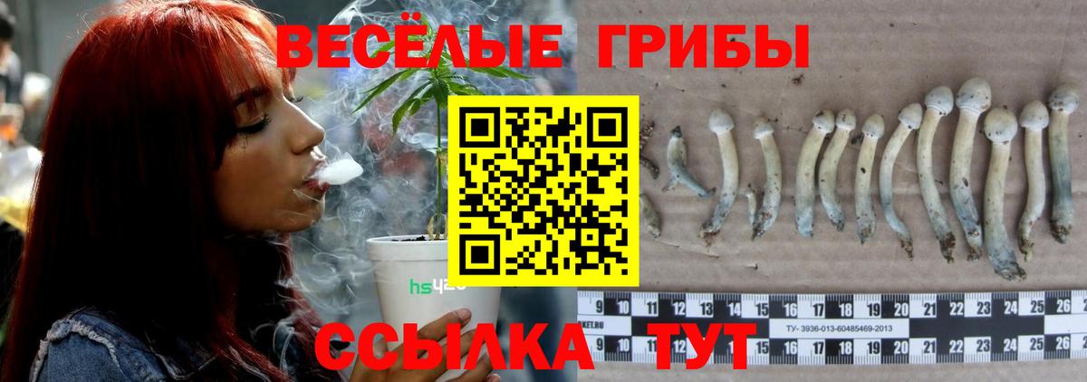 Галлюциногенные грибы Magic Shrooms Белорецк